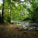 Парцел в с. Първенец, Област Пловдив - 780 кв.м за 71 €/кв.м - Снимка #1