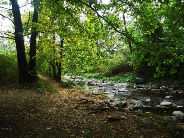 Парцел в с. Първенец, Област Пловдив - 780 кв.м за 71 €/кв.м - Снимка #1