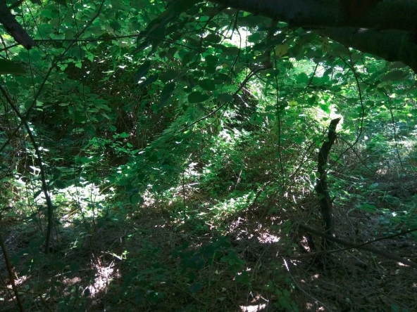 Парцел в Шумен, Добруджански - 2212 кв.м за 4 €/кв.м - Снимка #1