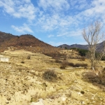 Парцел в Девин - 30000 кв.м за 42 €/кв.м - Снимка #1