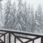 Двустаен апартамент в к.к. Пампорово - 59 кв.м за 745 €/кв.м - Снимка #1