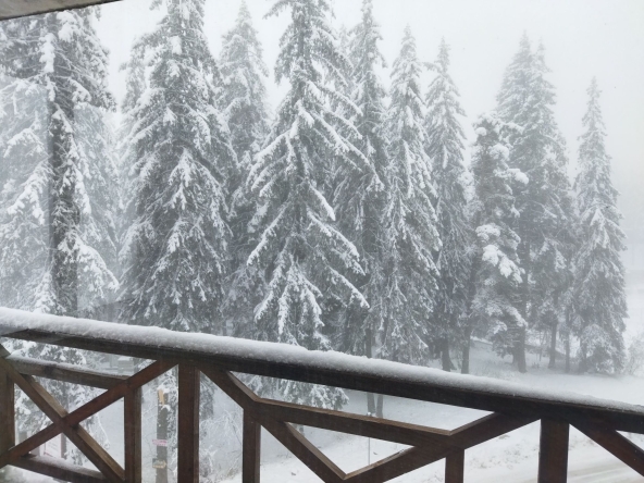 Двустаен апартамент в к.к. Пампорово - 59 кв.м за 745 €/кв.м - Снимка #1