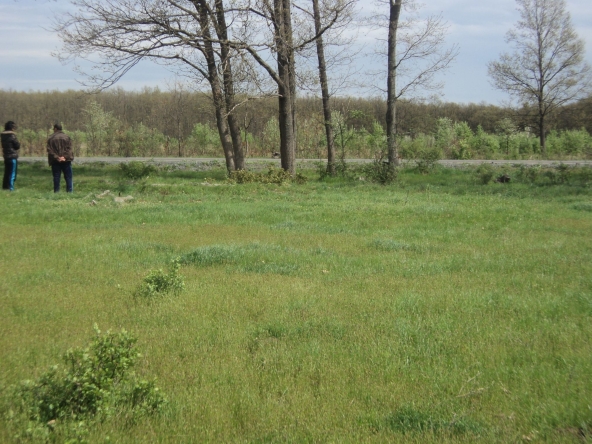 Земеделски имот в Китен -  кв.м за 2 €/дка - Снимка #1