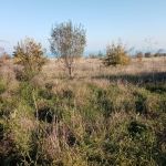 Парцел в Варна, Аспарухово - 3710 кв.м за 45 €/кв.м - Снимка #1