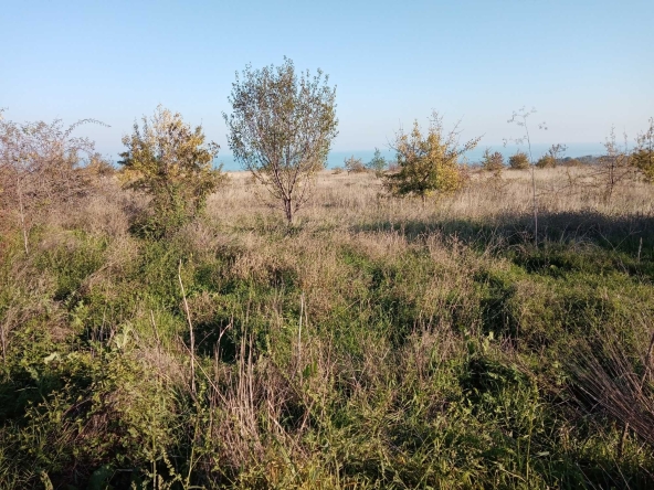 Парцел в Варна, Аспарухово - 3710 кв.м за 45 €/кв.м - Снимка #1