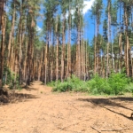 Парцел в Казанлък - 6200 кв.м за 10 €/кв.м - Снимка #1