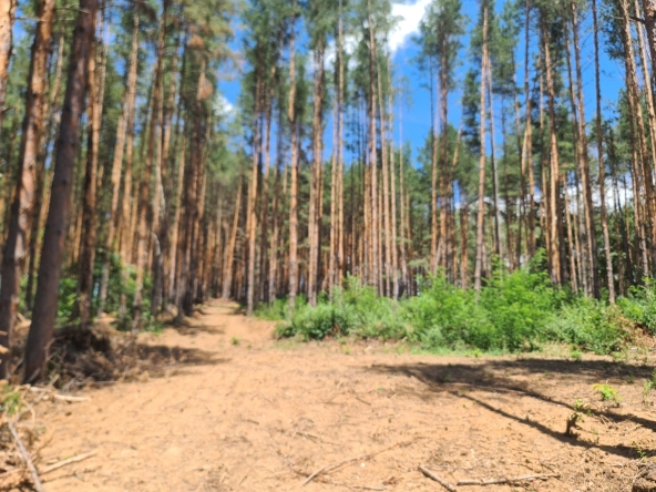 Парцел в Казанлък - 6200 кв.м за 10 €/кв.м - Снимка #1