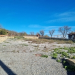 Дава се под наем Парцел в с. Шереметя, Област Велико Търново - 1440 кв.м за 255 € - Снимка #1