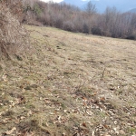 Парцел в с. Добърчин, Област София-област - 6500 кв.м за 10 €/кв.м - Снимка #1