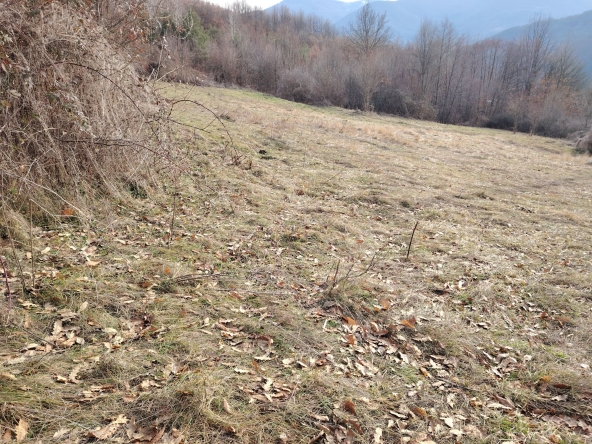 Парцел в с. Добърчин, Област София-област - 6500 кв.м за 10 €/кв.м - Снимка #1