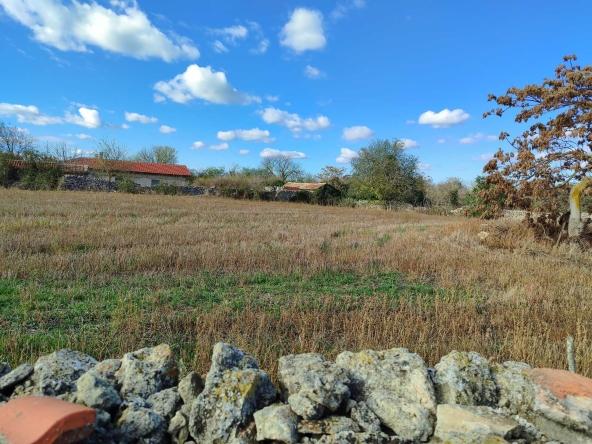 Парцел в с. Българево, Област Добрич - 836 кв.м за 27 €/кв.м - Снимка #1