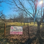 Парцел в с. Гълъбник, Област Перник - 846 кв.м за 33 €/кв.м - Снимка #1