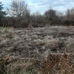 Парцел в с. Салманово, Област Шумен - 740 кв.м за 15 €/кв.м - Снимка #1