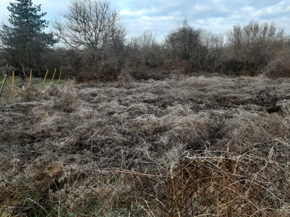 Парцел в с. Салманово, Област Шумен - 740 кв.м за 15 €/кв.м - Снимка #1