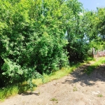 Парцел в с. Преспа, Област Добрич - 1400 кв.м за 4 €/кв.м - Снимка #1