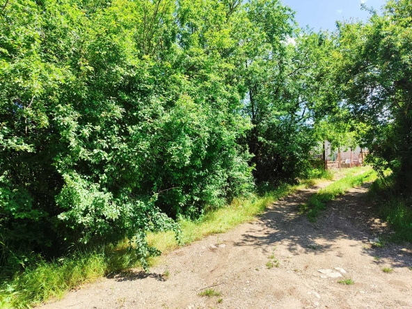 Парцел в с. Преспа, Област Добрич - 1400 кв.м за 4 €/кв.м - Снимка #1