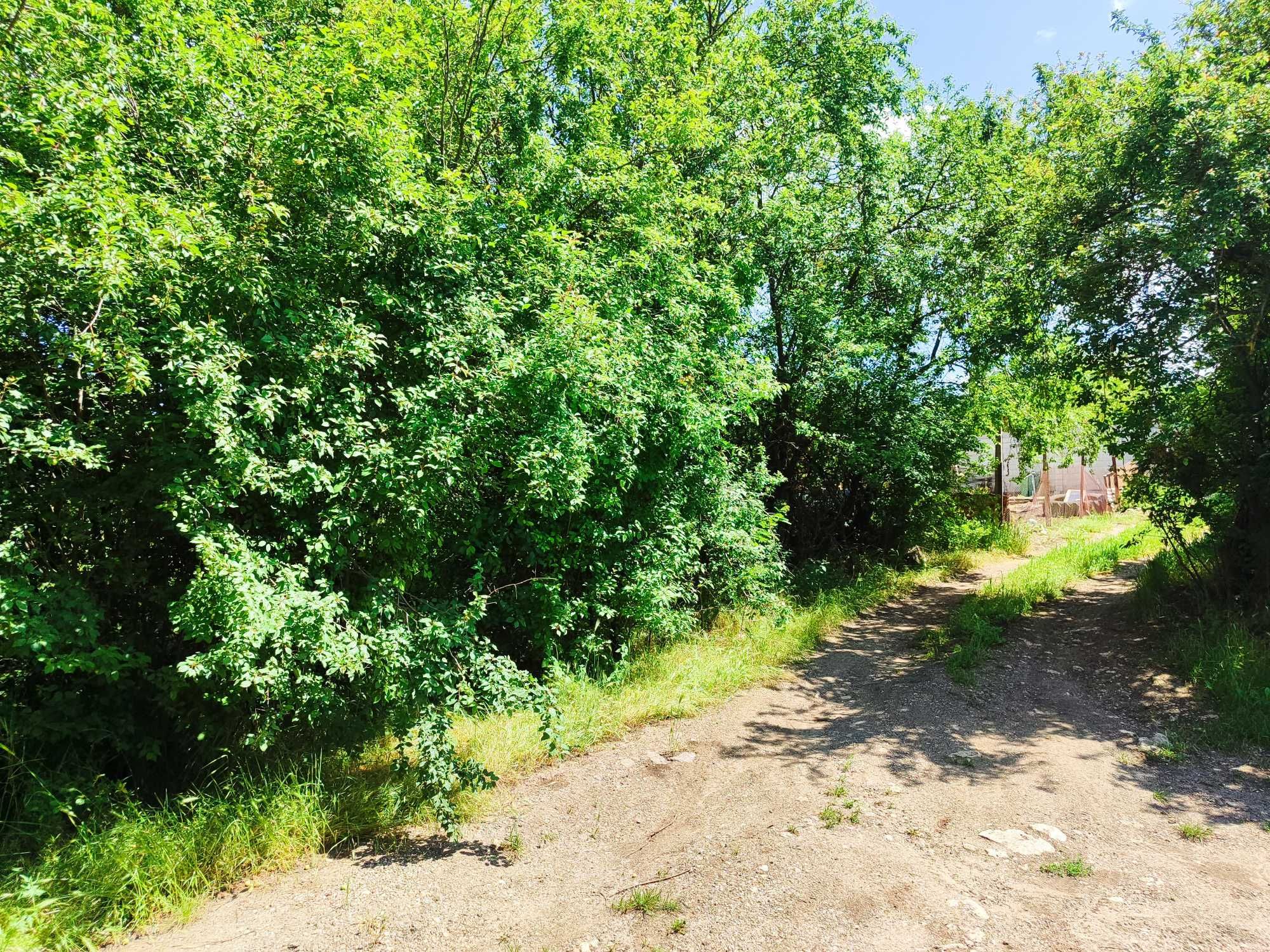 Парцел в с. Преспа, Област Добрич - 1400 кв.м за 4 €/кв.м - Снимка #1