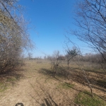 Парцел в с. Хотница, Област Велико Търново - 2200 кв.м за 6 €/кв.м - Снимка #1