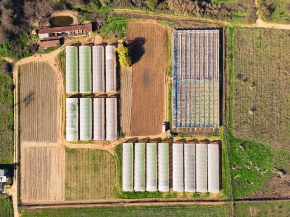 Земеделски имот в Петрич -  кв.м за 13 €/дка - Снимка #1