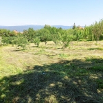 Парцел в с. Злокучене, Област София-област - 1400 кв.м за 14 €/кв.м - Снимка #1
