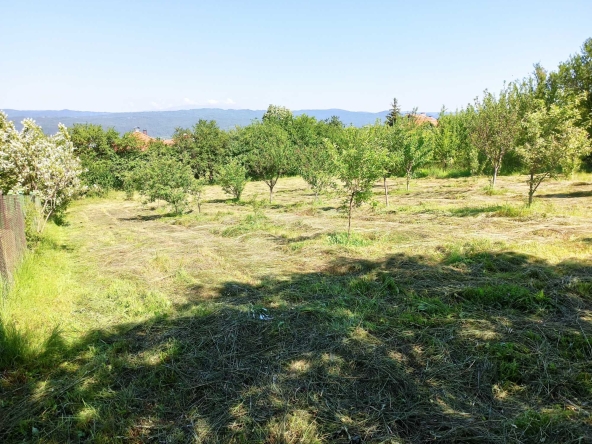 Парцел в с. Злокучене, Област София-област - 1400 кв.м за 14 €/кв.м - Снимка #1