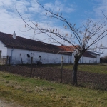 Къща в Ивайловград - 700 кв.м за 59 €/кв.м - Снимка #1