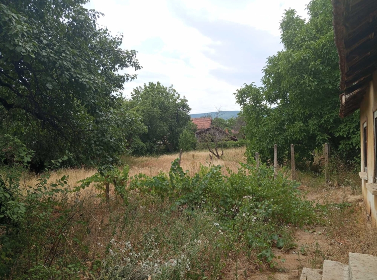 Парцел в с. Гара Орешец, Област Видин - 650 кв.м за 4 €/кв.м - Снимка #1