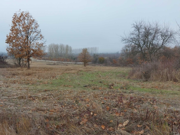 Парцел в с. Ягода, Област Стара Загора - 1500 кв.м за 3 €/кв.м - Снимка #1