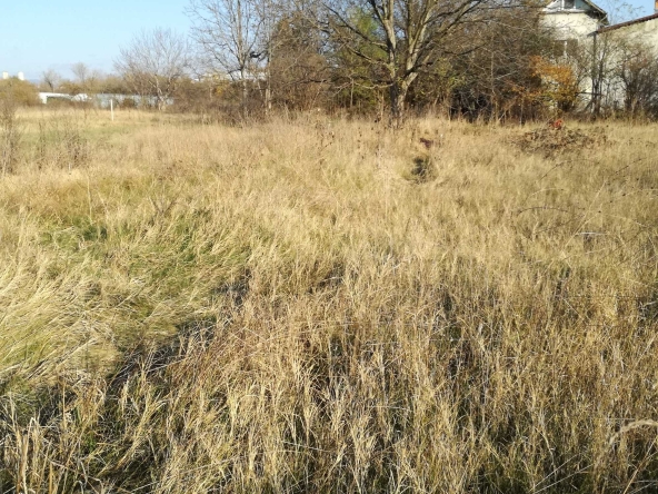 Парцел в Поморие - 5000 кв.м за 90 €/кв.м - Снимка #1