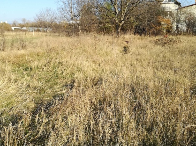 Парцел в Поморие - 5000 кв.м за 90 €/кв.м - Снимка #1