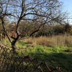 Парцел в Поморие - 720 кв.м за 105 €/кв.м - Снимка #1