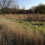 Парцел в Поморие - 2500 кв.м за 220 €/кв.м - Снимка #1