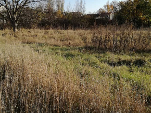 Парцел в Поморие - 2500 кв.м за 220 €/кв.м - Снимка #1