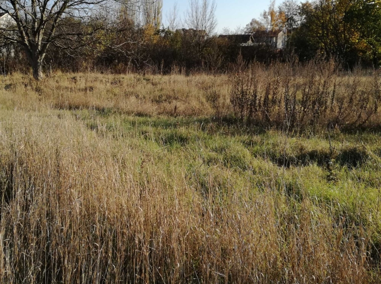 Парцел в Поморие - 2500 кв.м за 220 €/кв.м - Снимка #1