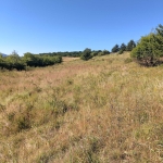 Земеделски имот в София, Дружба 2 -  кв.м за 3315 €/дка - Снимка #1