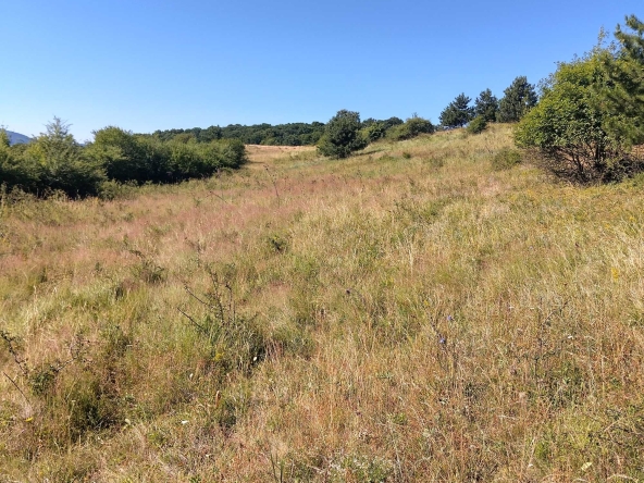 Земеделски имот в София, Дружба 2 -  кв.м за 3315 €/дка - Снимка #1