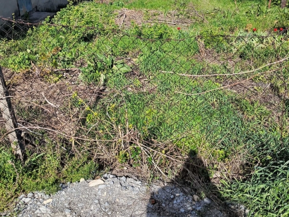 Парцел в Разград, Житница - 330 кв.м за 201 €/кв.м - Снимка #1