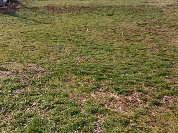 Къща в с. Елена, Област Хасково - 82 кв.м за 218 €/кв.м - Снимка #1