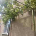 Къща в Плевен, Сторгозия - 74 кв.м за 473 €/кв.м - Снимка #1