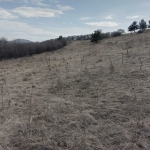 Земеделски имот в Банкя -  кв.м за 4 €/дка - Снимка #1