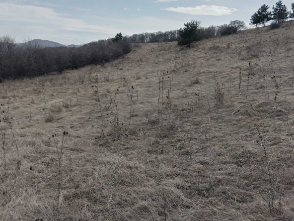 Земеделски имот в Банкя -  кв.м за 4 €/дка - Снимка #1