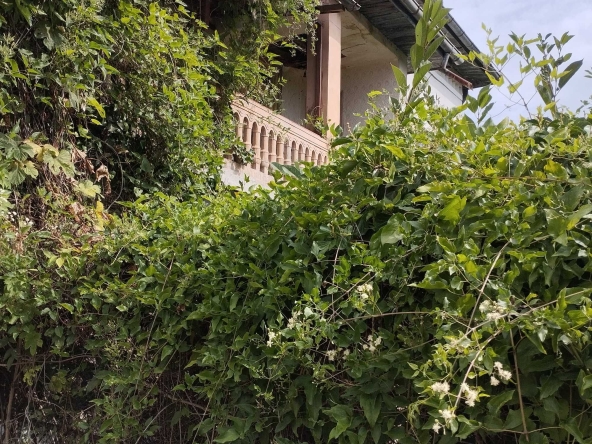 Къща в с. Николаево, Област Плевен - 100 кв.м за 179 €/кв.м - Снимка #1