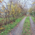 Парцел в Казанлък - 1000 кв.м за 245 €/кв.м - Снимка #1