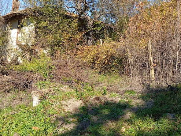 Къща в Нови пазар - 99 кв.м за 72 €/кв.м - Снимка #1