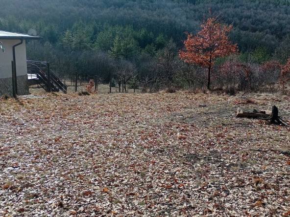 Къща в Костинброд - 1620 кв.м за 7 €/кв.м - Снимка #1