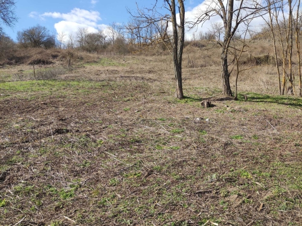 Парцел в с. Лозница, Област Добрич - 10000 кв.м за 2 €/кв.м - Снимка #1