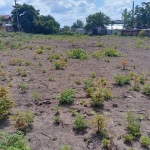 Парцел в Разград, Промишлена зона - Запад - 1326 кв.м за 16 €/кв.м - Снимка #1