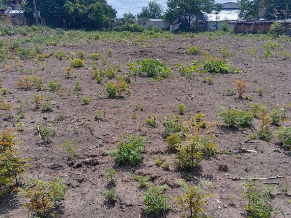 Парцел в Разград, Промишлена зона - Запад - 1326 кв.м за 16 €/кв.м - Снимка #1