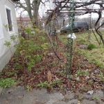 Къща в Генерал Тошево - 1150 кв.м за 31 €/кв.м - Снимка #1