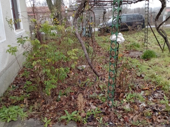 Къща в Генерал Тошево - 1150 кв.м за 31 €/кв.м - Снимка #1